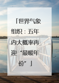 世界气象组织：五年内大概率再迎“最暖年份”